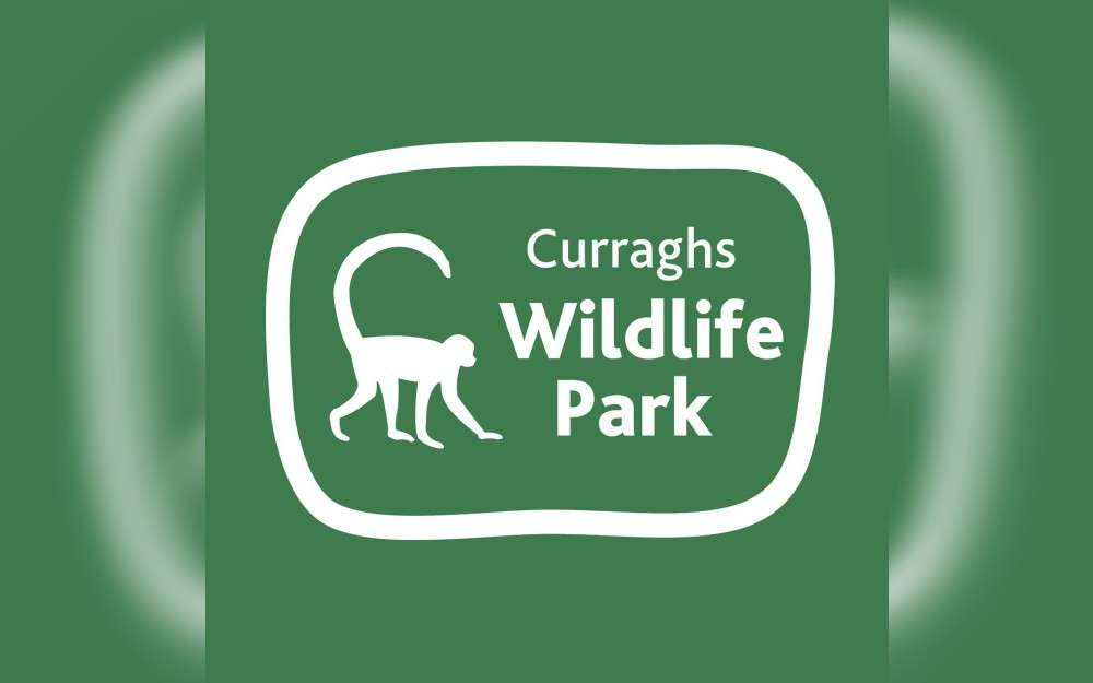 In the capital city Douglas of Isle of Man (situated between Great Britain and Ireland in the middle of the northern Irish Sea, the Isle of Man is a Crown dependency of the United Kingdom that spans just 572 km), a yellow mongoose that escaped from the Isle of Man's wildlife park has been seen.