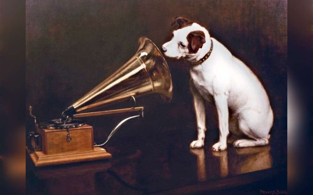 Loyalty has always been a characteristic of dogs. A dog can improve the lives of older people, provide you companionship, make you more active, make youngsters more responsible, calm, and secure, make you more social and less alone, and reduce stress.