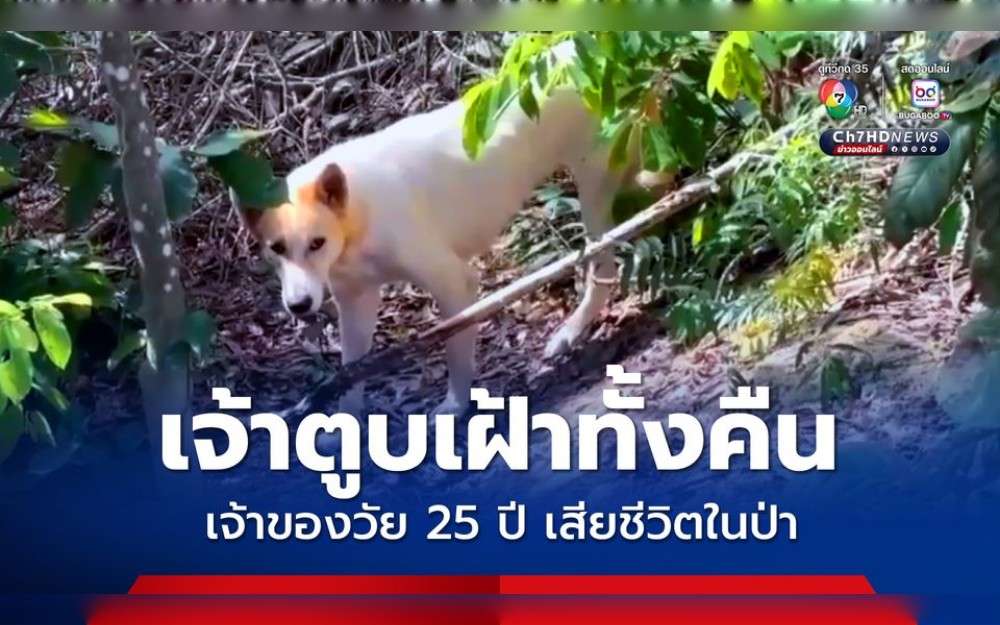 Officers at Khao Hin Son Police Station were informed of a body discovered in Village 1, Khao Hin Son Subdistrict, Phanom Sarakham District, Chachoengsao Province,Thailand, on July 1, 2025.T