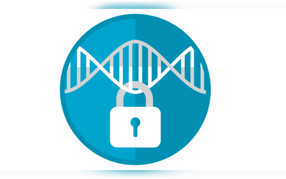 Protecting internet-connected hardware, software, and data systems from online threats is known as cybersecurity. These threats include ransomware, data theft, and phishing schemes. Cybersecurity includes everything from ensuring the effective operation of IT systems to protecting sensitive data.