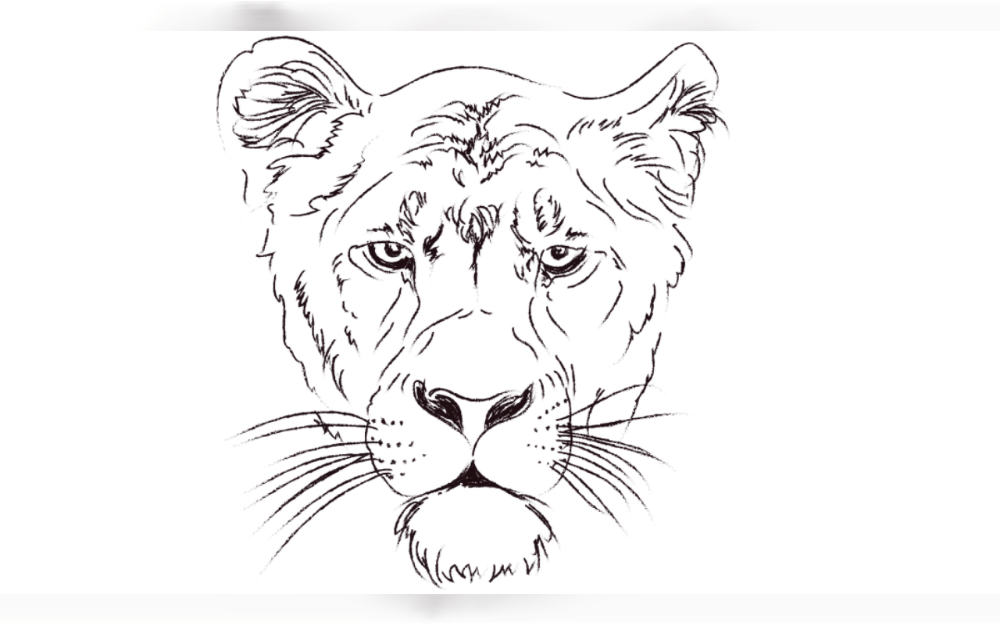 After being "grabbed" by a liones,a member of the owner's family lost her arm, according to a Queensland zoo. A female lion born into captivity attacked a woman in her 50s from outside an enclosure at Darling Downs Zoo in Pilton, south of Toowoomba, at approximately 8.23 in the morning, prompting the dispatch of emergency personnel. 