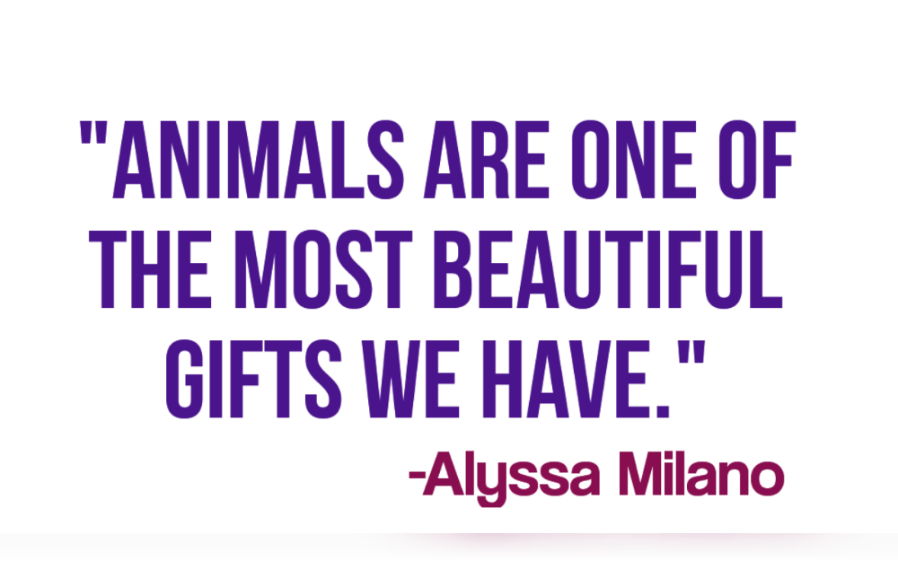 "The greatness of a nation and its moral progress can be judged by the way its animals are treated”-Mahatma Gandhi