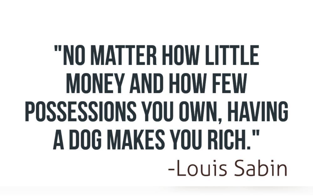 "The greatness of a nation and its moral progress can be judged by the way its animals are treated”-Mahatma Gandhi
