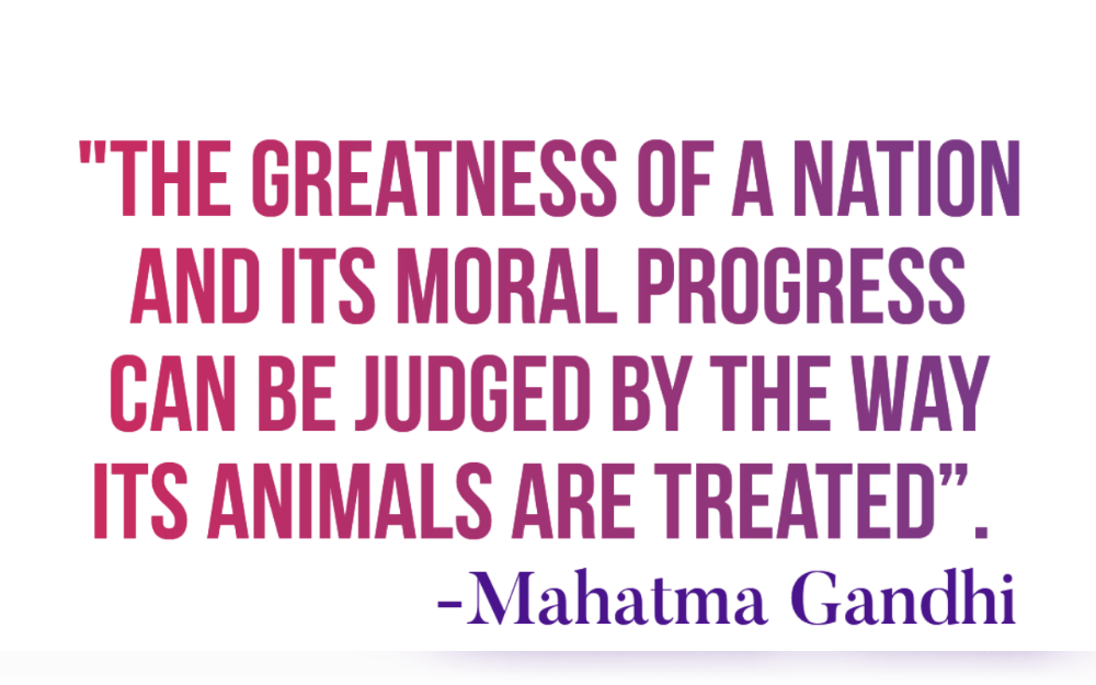 "The greatness of a nation and its moral progress can be judged by the way its animals are treated”-Mahatma Gandhi