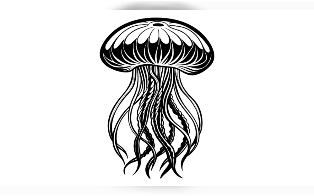 This summer,Delaware’s coastline beaches are being overrun with stinging jellyfish. 