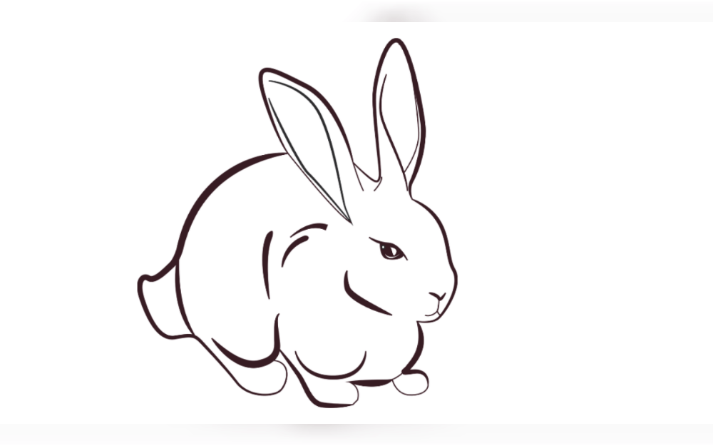 If you train your pet rabbit to use litter box for potty they can be ideal house pets and they are incredibly loving.Your rabbit has to be fed and watered daily.