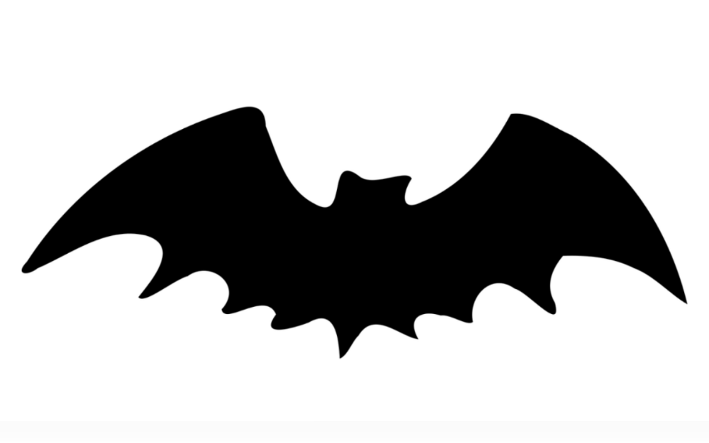 Last August, while on vacation in Northern Arizona,United States, a bat flew into the mouth of a Massachusetts resident, resulting in hospital expenditures of around $21,000. 