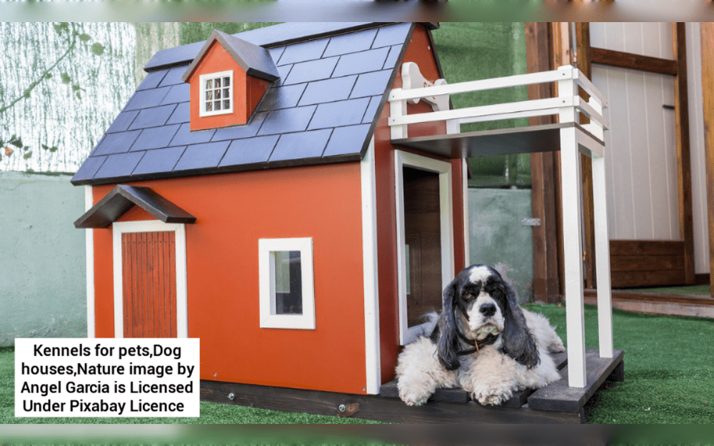 When building a doghouse, keep in mind to leave enough space for your dog to walk about and stand up completely,having easy access to fresh water, food, and toys for enrichment.On a hot summer day or a cold night, a properly insulated dog house can provide a comfortable refuge.