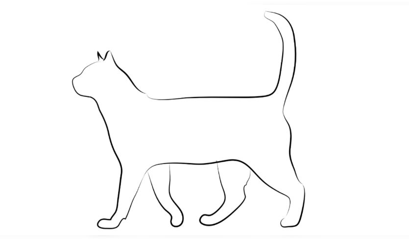 In addition to the frequent and extremely contagious upper respiratory infections known as cat colds, cats can also suffer from diabetes, worms, hyperthyroidism, feline leukemia virus, feline immunodeficiency virus, and even cancer.