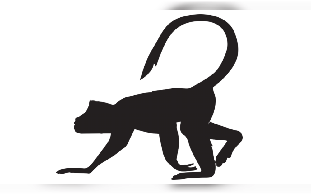 In the popular hot spring town of Yugawara, Kanagawa Prefecture, monkeys are out of control. They are rifling through houses, attacking dogs, and eating anything they want, including bread and bananas.