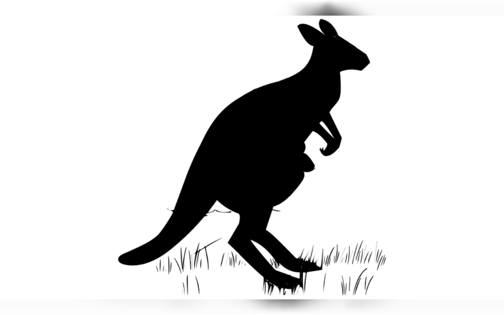 In Spandau,Berlin,Germany, a wallaby escapes.The owner of the exotic creature is a well known media person named Jakob Augstein.The eighty-centimeter-tall wallaby has been wandering around the Brandenburg bush for the past two days and is still there.