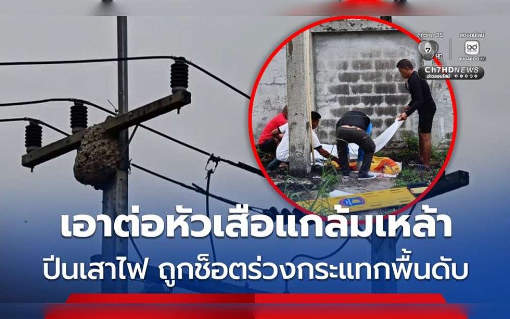 In an attempt to make a delicious feast, a young Thai man who had been drinking climbed an electric pole to get a hornet's head. After being electrocuted, he collapsed and died.