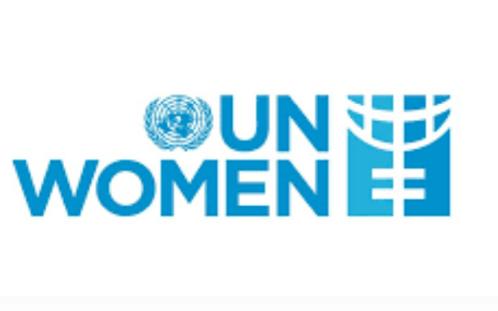 Acts of digital abuse created and disseminated by AI technology that cause physical, sexual, psychological, social, political, or economic harm or other violations of women's rights and freedoms are referred to as "AI-powered violence against women."