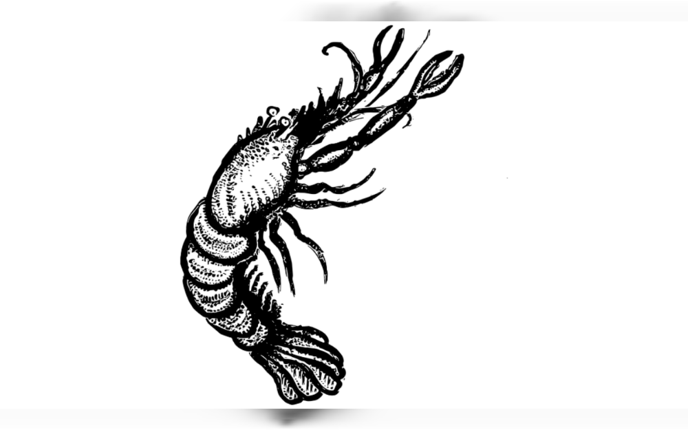 Using an innovative tactic, thieves took $400,000 worth of lobster from Costco shops.the stolen lobsters were picked up in Taunton, Massachusetts, and were on their way to stores in Illinois and Minnesota when they vanished