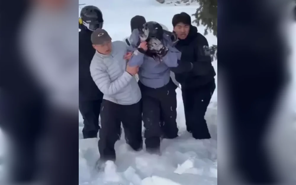 Chilling footage shows that a female skier was brutally mauled by a snow leopard on Friday after getting too close to the animal for a photo.