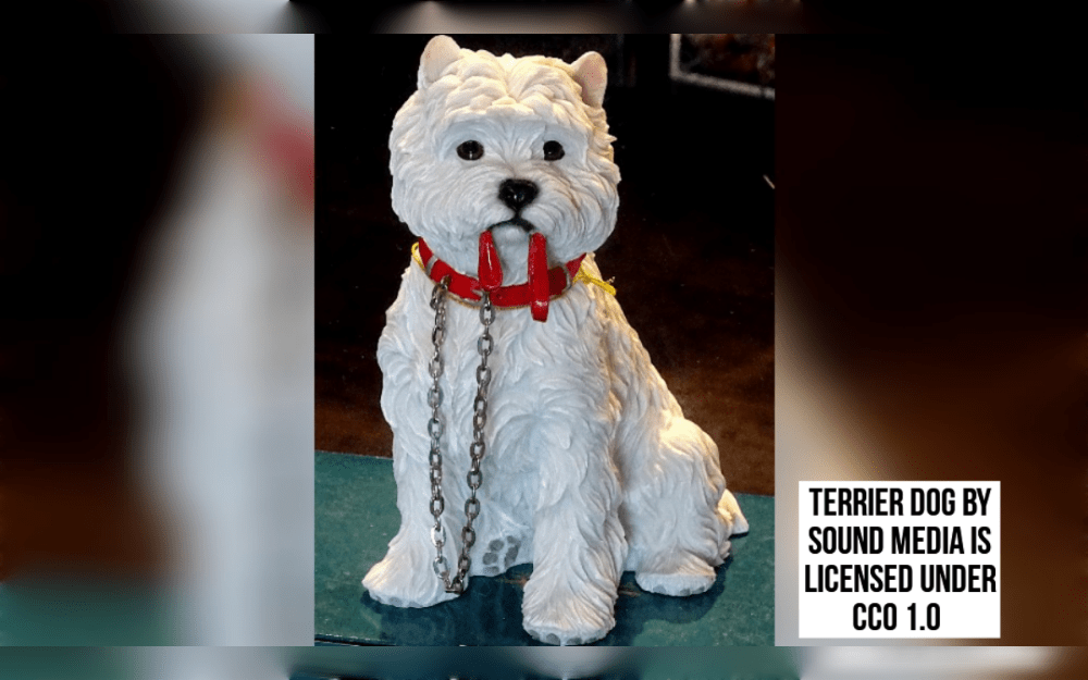 West Highland White Terriers or Westies, are known for their small stature, and stunning white coats.They may be ideal family dogs and may get along well with children and other pets. Westies have thick, rough, white coats.
